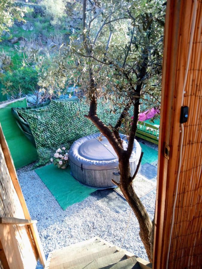 Treehouse ,Casa Arbol, With Spa Algarrobo Bagian luar foto